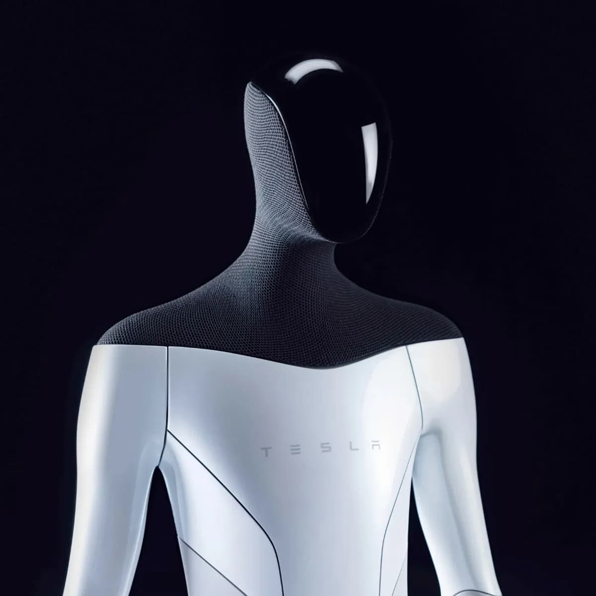 Tesla Bot (Available 2027)